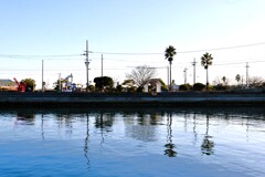 海辺公園