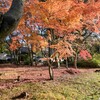 紅葉景色