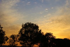 黄昏のシルエット