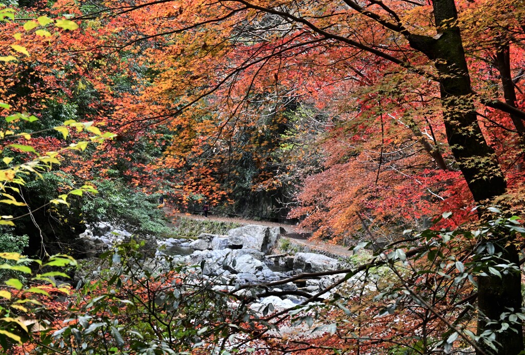 摂津峡風景Ⅲ