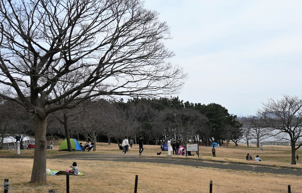 舞洲緑地公園にて