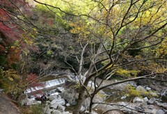 摂津峡を見下ろす