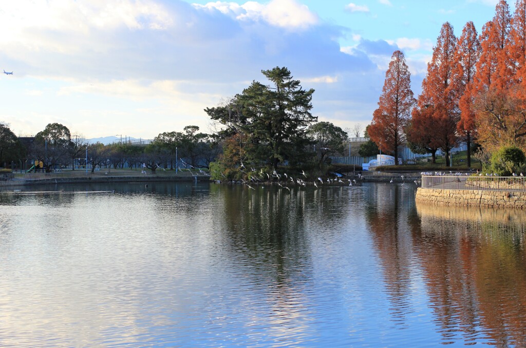初冬の公園