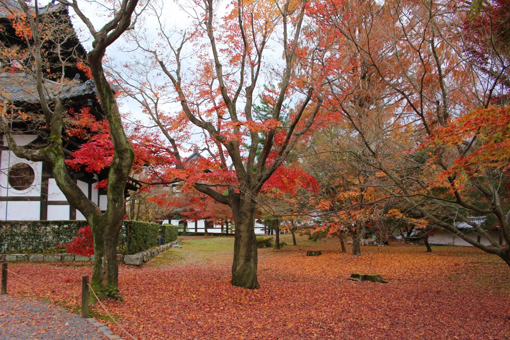 靜かな庭園