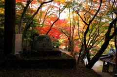深秋の牛滝山