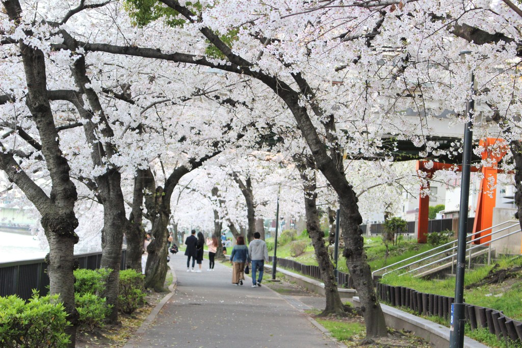 桜の宮公園にて2