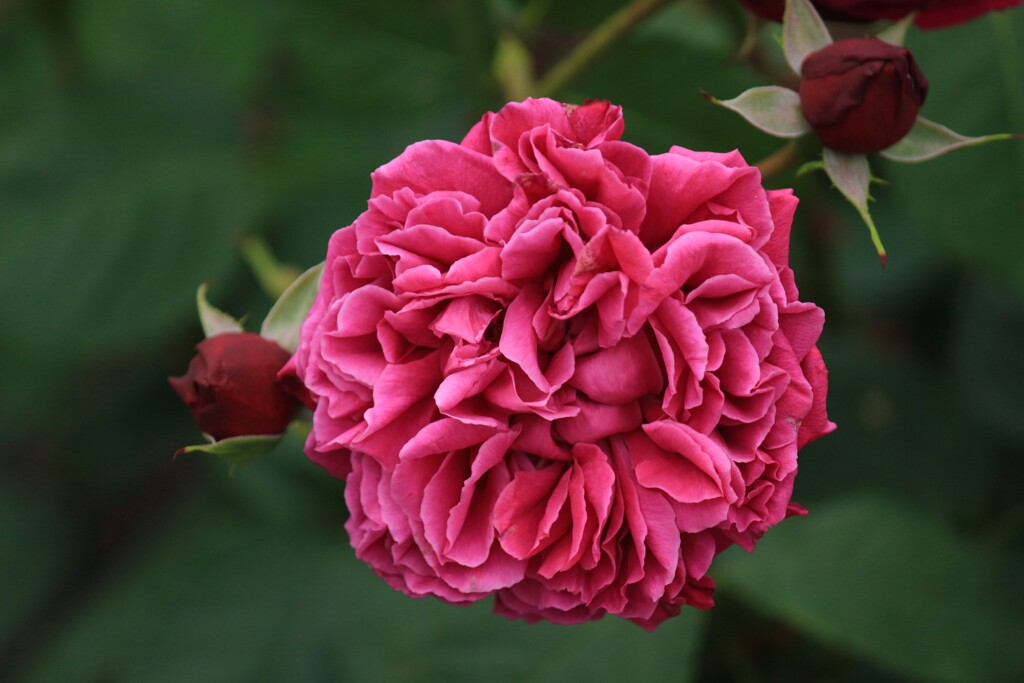 エアインネルン アン シュロス