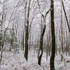 雪化粧