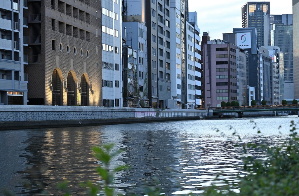 夕暮れの中之島