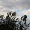 雲中のシルエット