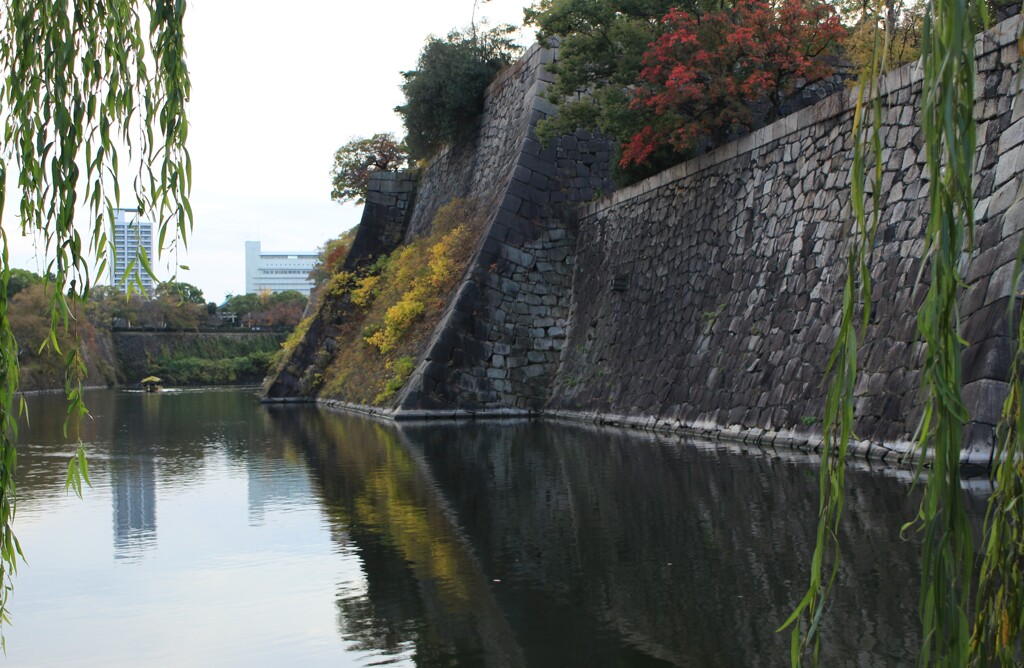 石垣の彩