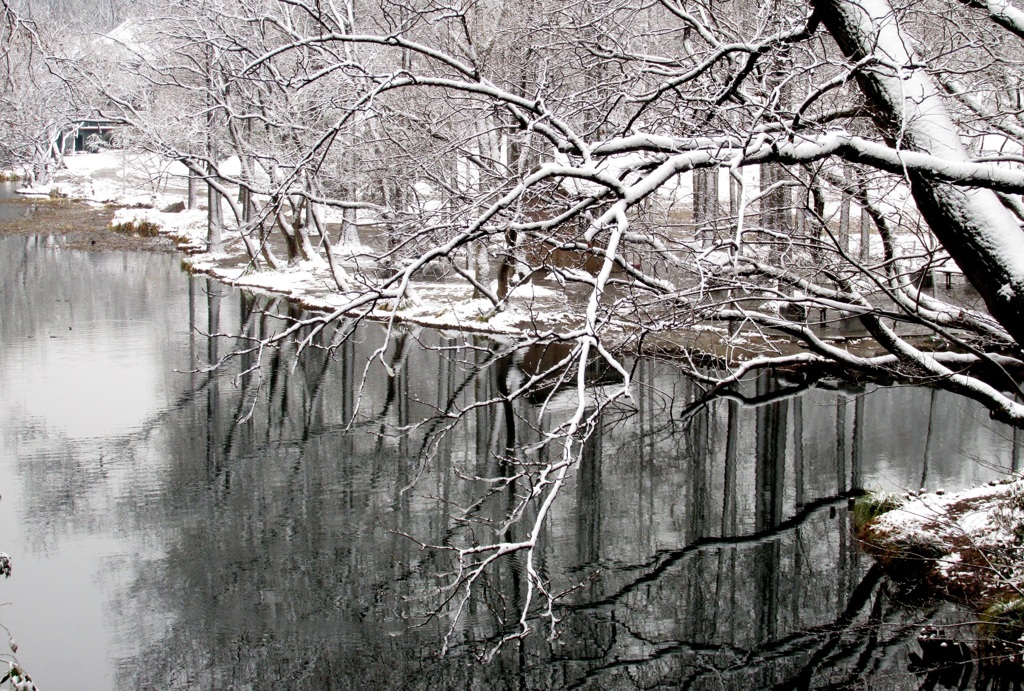 公園の池畔