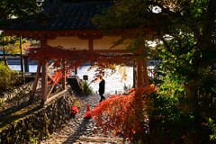川辺にて