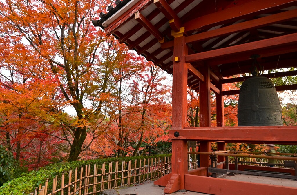 紅葉と鐘楼
