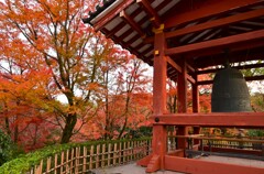 紅葉と鐘楼