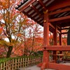 紅葉と鐘楼