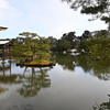 金閣寺鏡湖池