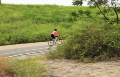 散歩道にて