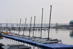 ヨットの立ち並び