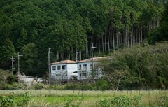 山里風景Ⅱ