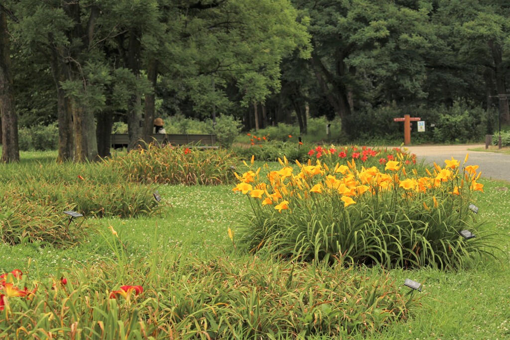 静寂の公園
