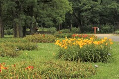 静寂の公園