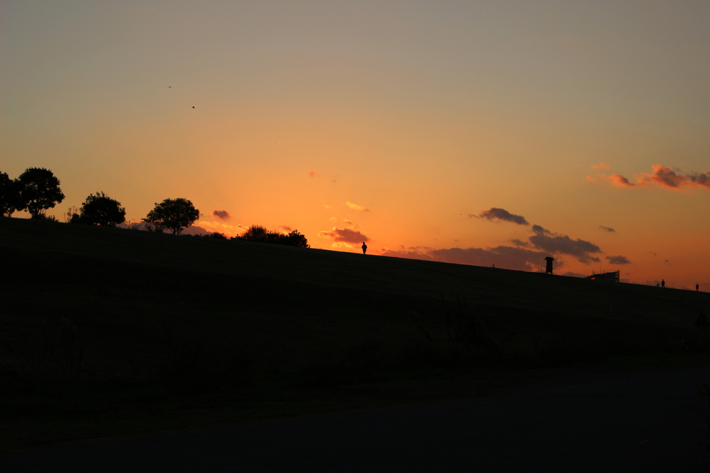 城北公園通りに