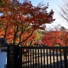 永観堂の紅葉