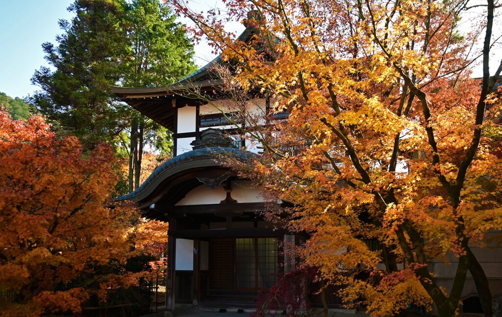 紅葉のある家屋