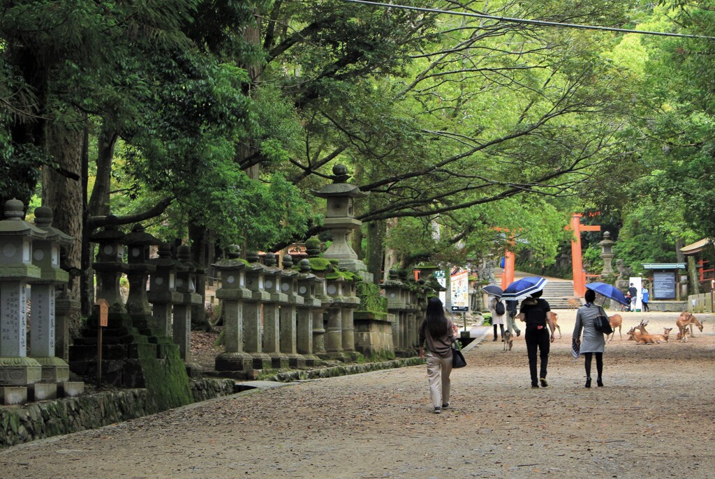 春日大社への道