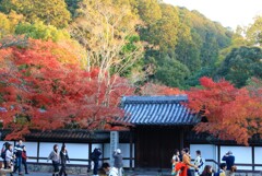 紅葉を楽しむ人々