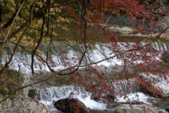 急流と紅葉