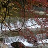 急流と紅葉