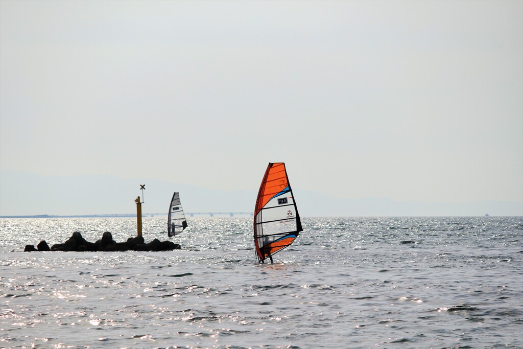ウインドサーフィン