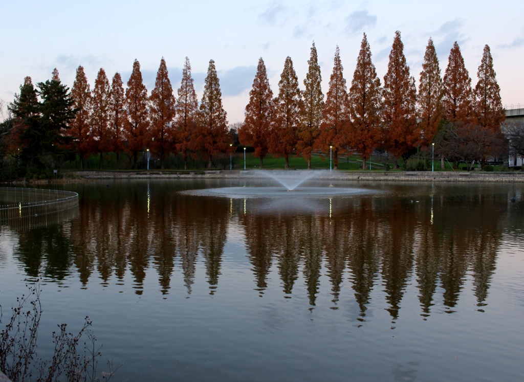夕暮れの城北公園