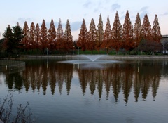 夕暮れの城北公園