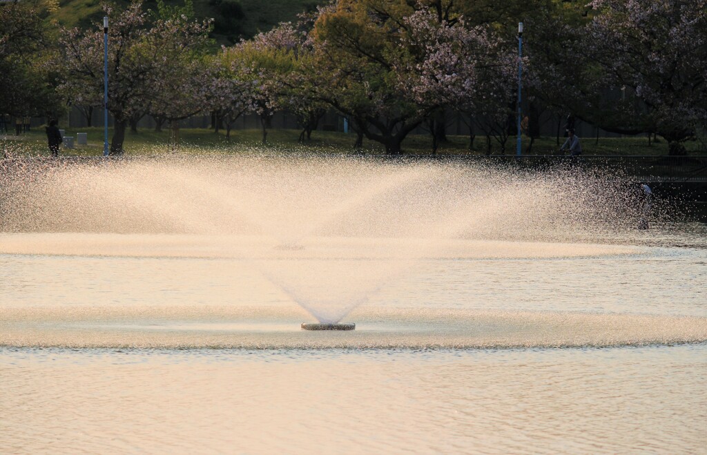 公園噴水