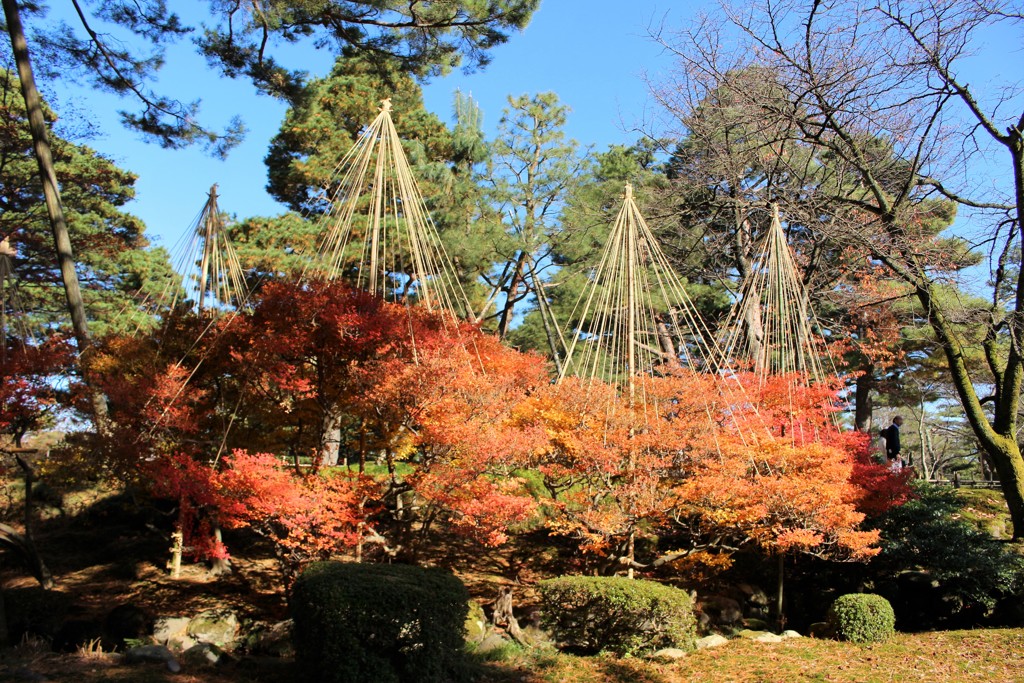 兼六園の秋色