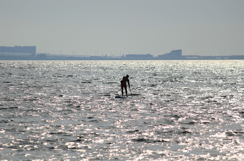 眩しい波に乗る