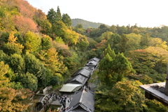 清水寺の眺め