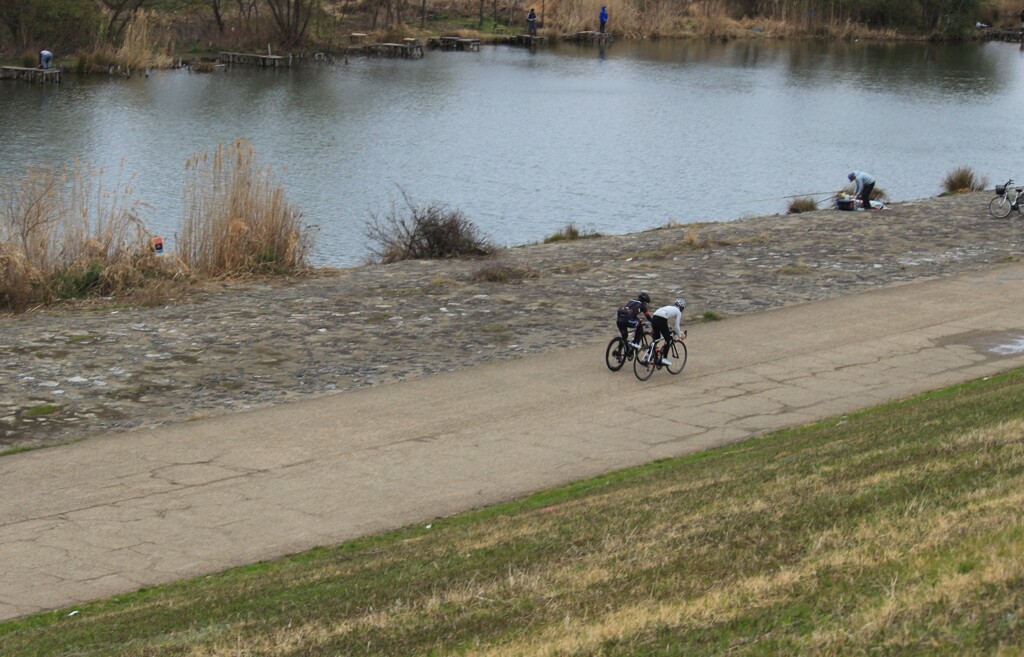 川辺のサイクリング