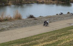 川辺のサイクリング