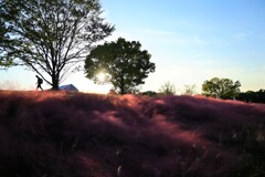 夕方の風景