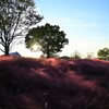 夕方の風景