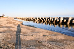 海辺にて
