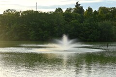 大池の噴水