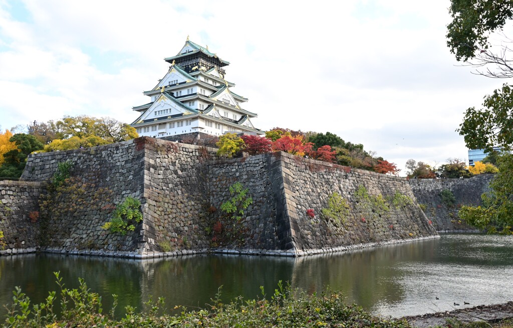 大阪城の秋色