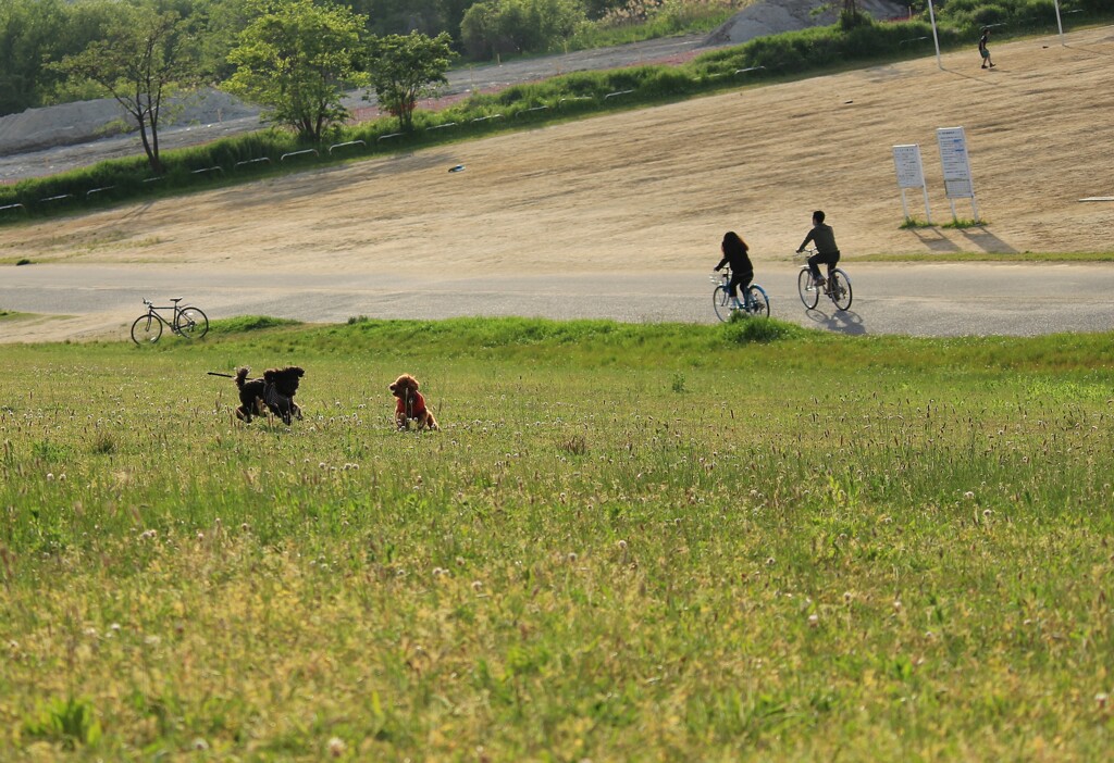 休日の気晴らし
