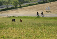 休日の気晴らし