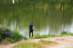 川辺釣りと映り込み